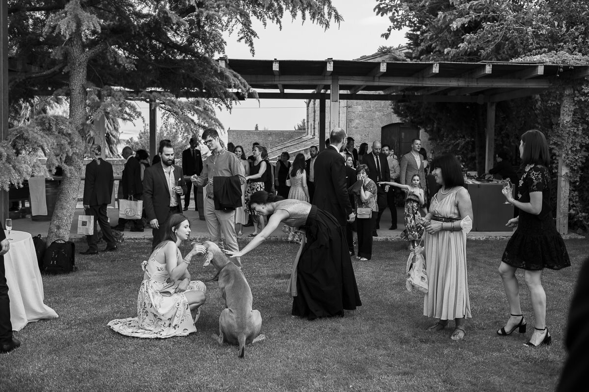 Il Matrimonio Di Friederike E Filippo Alla Masseria Susafa278