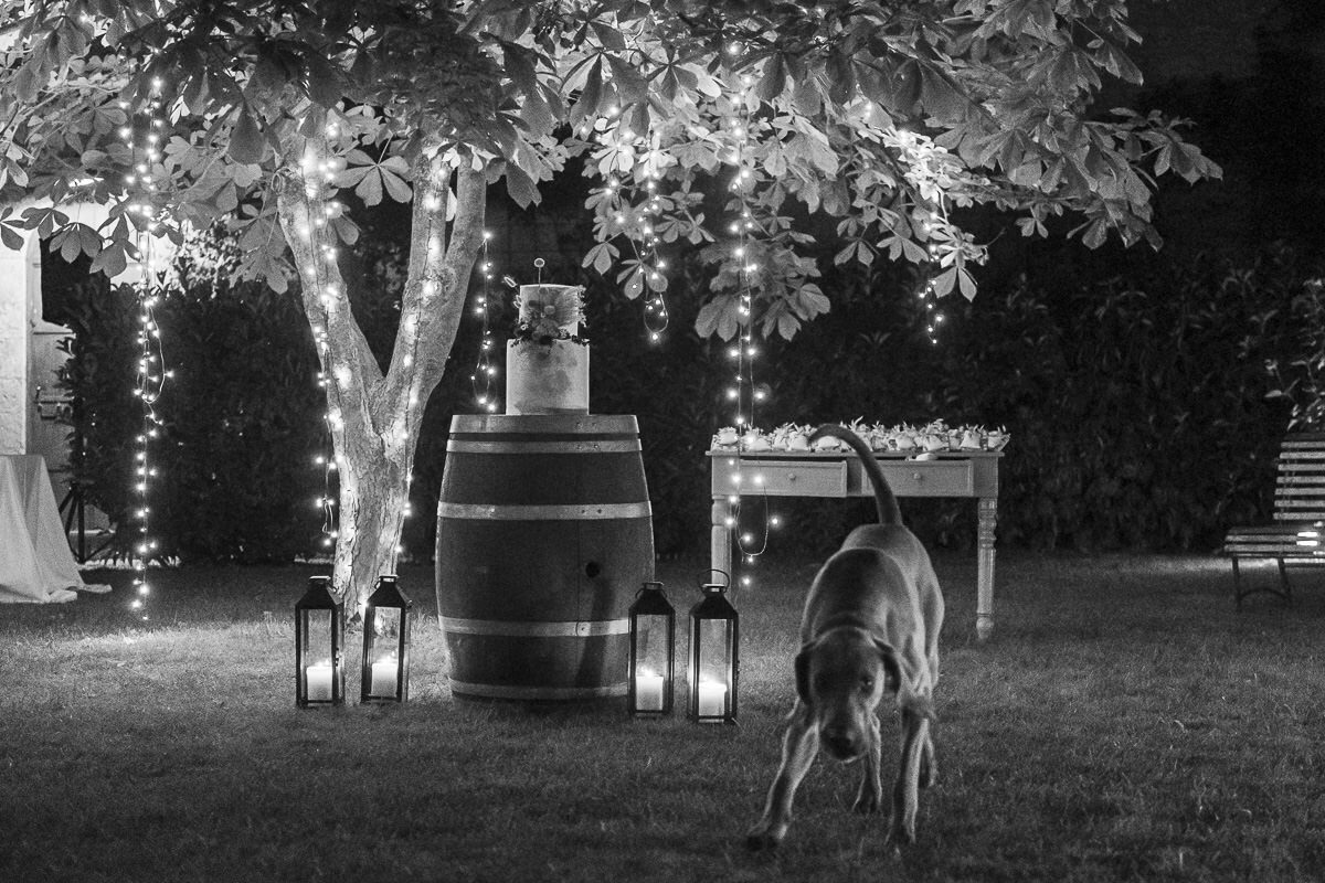Il Matrimonio Di Friederike E Filippo Alla Masseria Susafa365