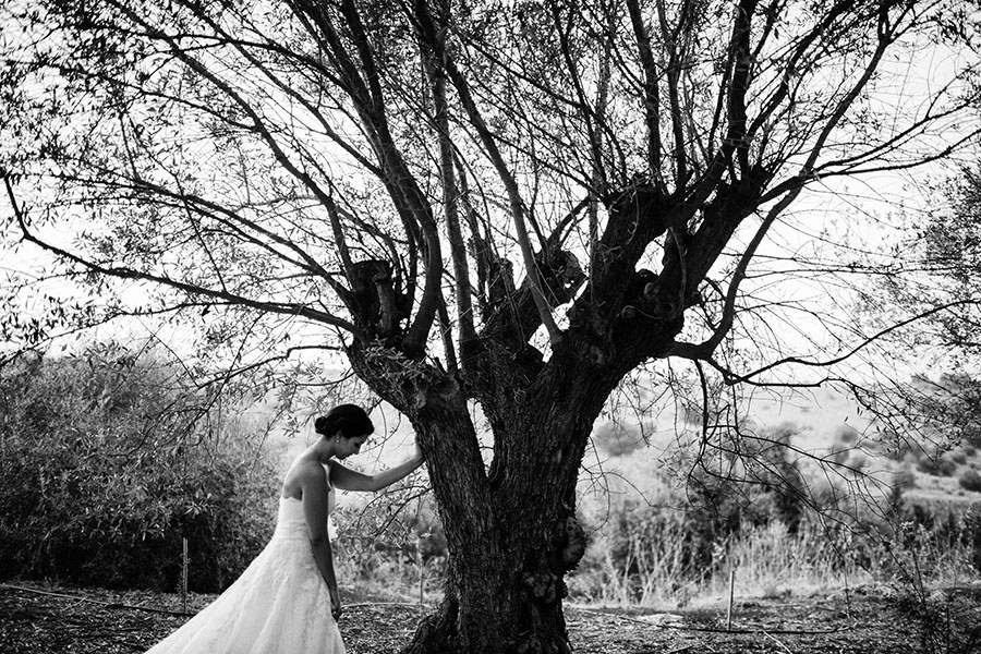 11 Matrimonio Alla Commenda Di San Calogero